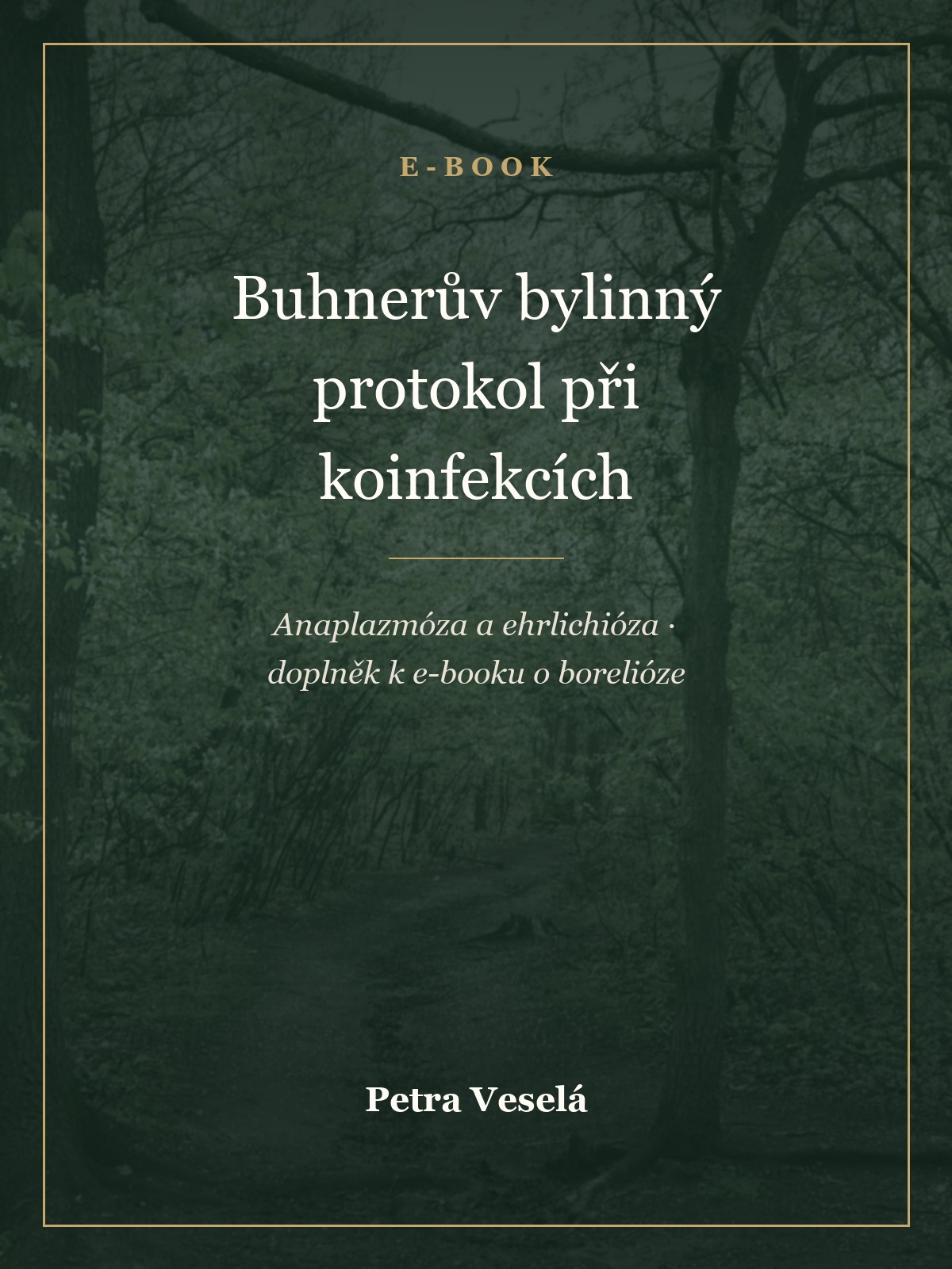 Buhnerův bylinný protokol při koinfekcích – e-book Petry Veselé